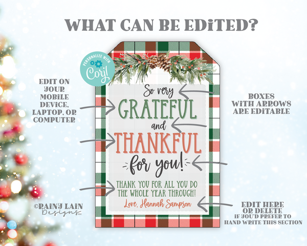 Editable Christmas Thank You Gift Tag Template, Printable Holiday Appreciation, Staff Employee Teacher Nurse Volunteer School PTO, Plaid