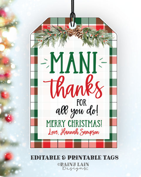 Manicure Gift Tag Mani Christmas Thanks for all you do Nail Polish Set Holiday Friend Pedicure Daycare Teacher Thank you Staff Appreciation