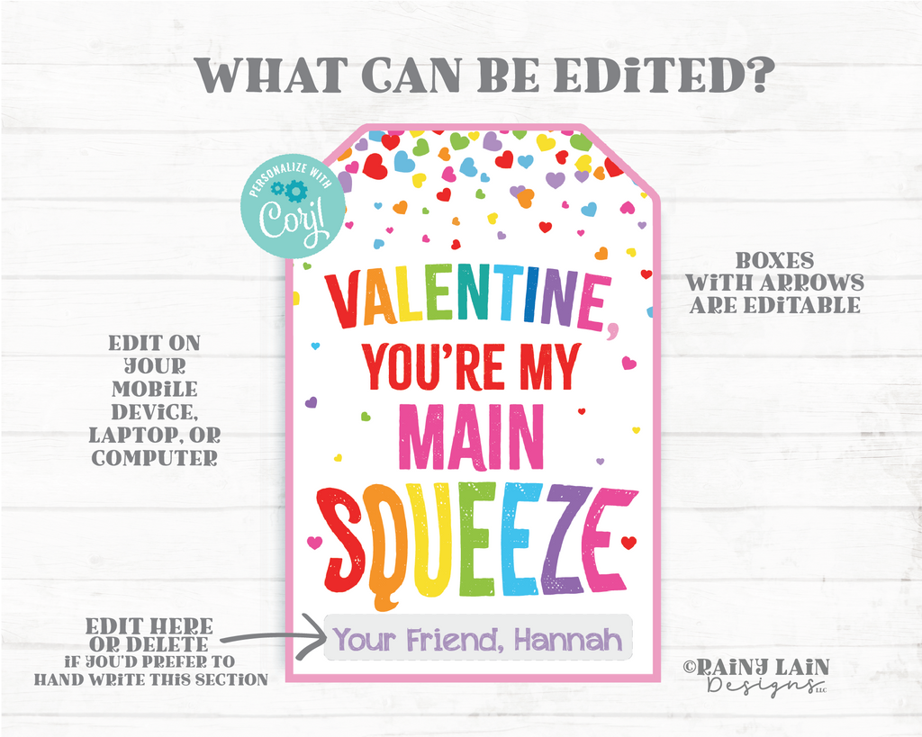 you-re-my-main-squeeze-valentine-squishies-valentine-squishy-toy-ap-rainy-lain-designs-llc