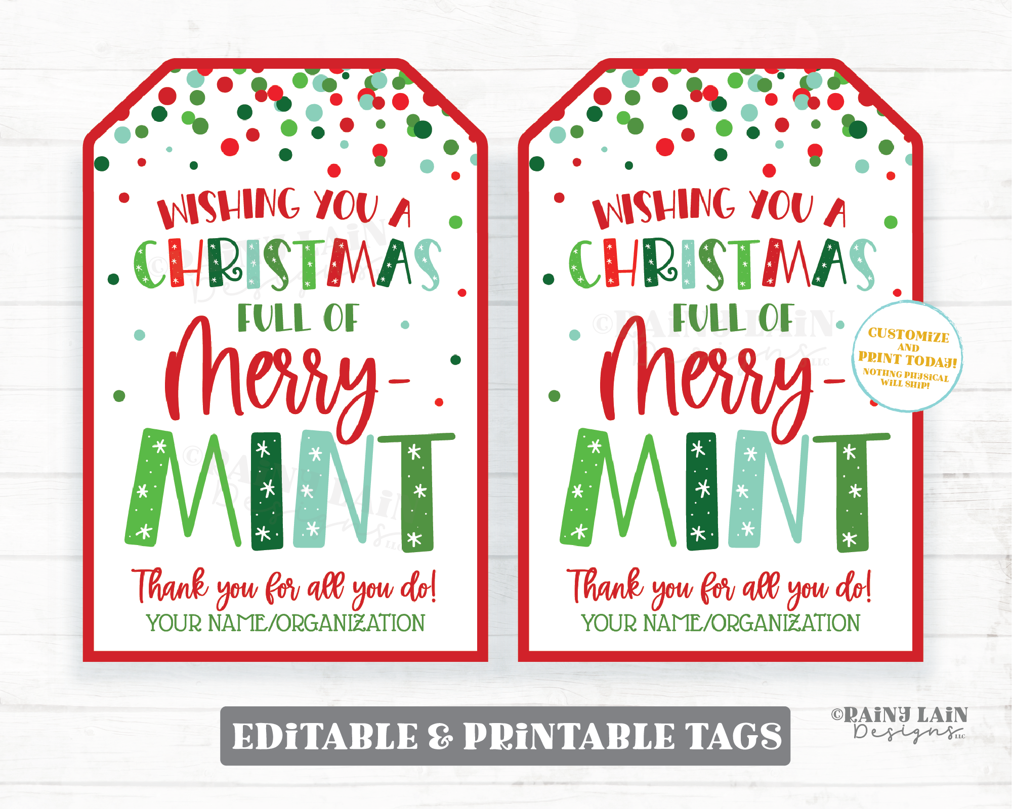 https://www.rainylaindesigns.com/cdn/shop/products/merrymint-christmasconfetti-2-image-01_1024x1024@2x.png?v=1639076586